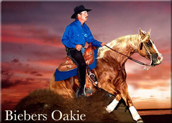 Biebers Oakie
