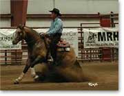 Merada Smokin Oakie at Glacir Slide, Kalispell, Montana